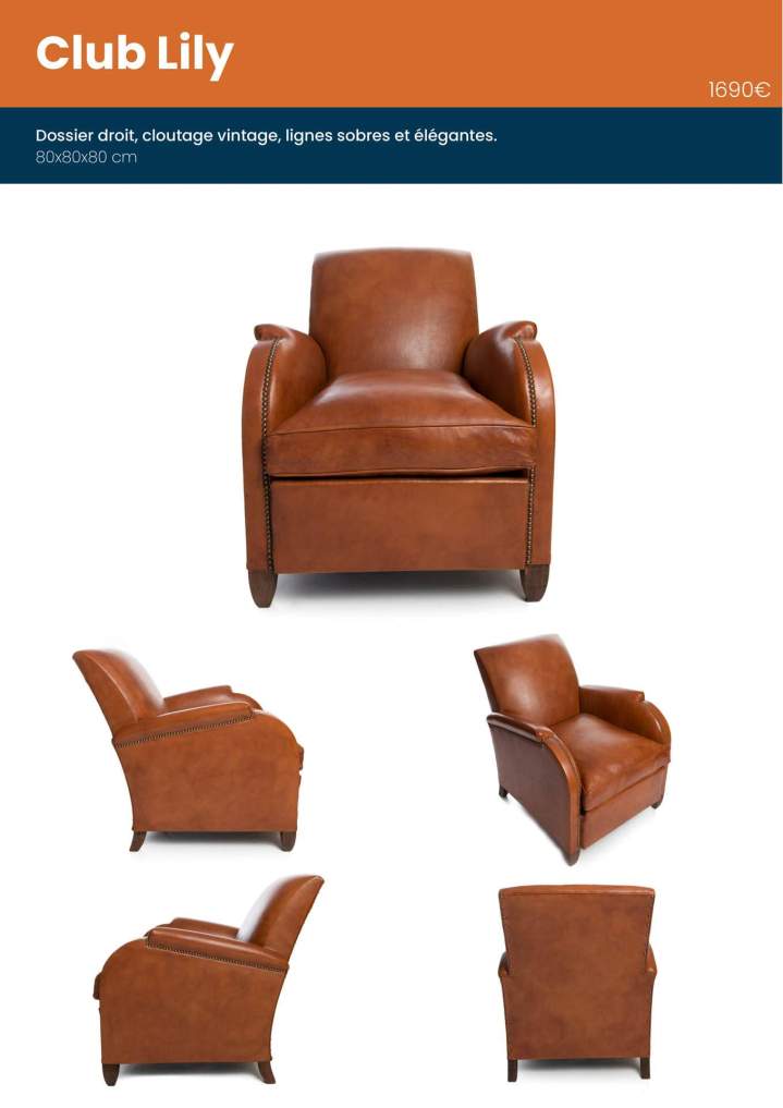 Fauteuils clubs neufs Fontenay-le-Comte.